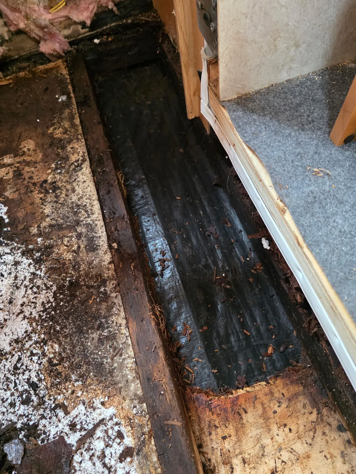Inspector documenting water-damaged RV flooring during a PPI